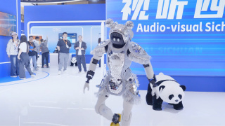 谎言姐姐